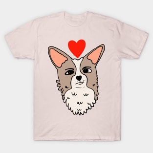 Fluffy Grumpy Corgi Puppy T-Shirt